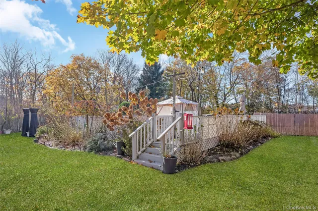 a view of a park with a tree