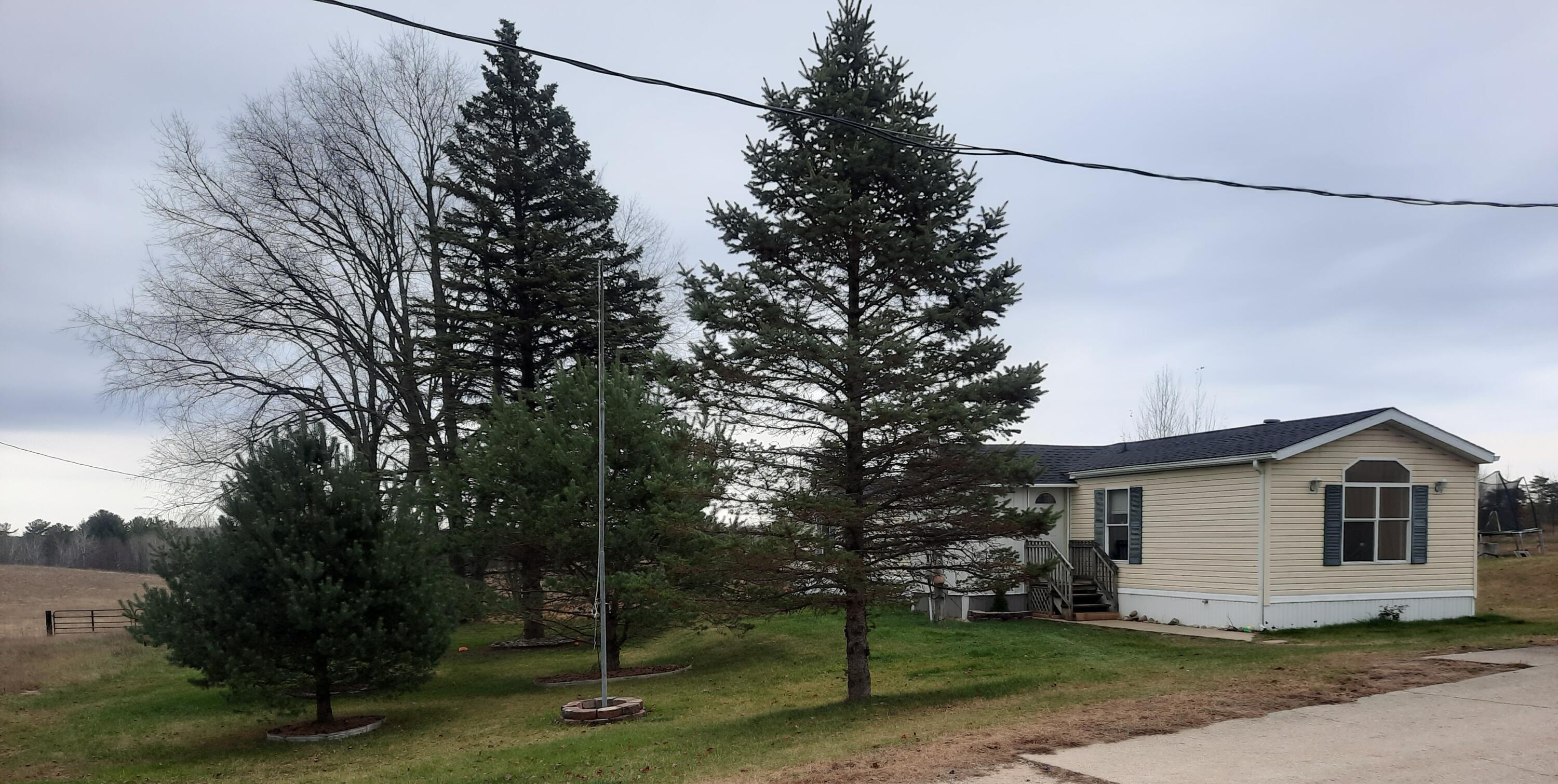 20875 Lowe Street Reed City, MI 49677 - Photo 1 of 22 20221104_115813