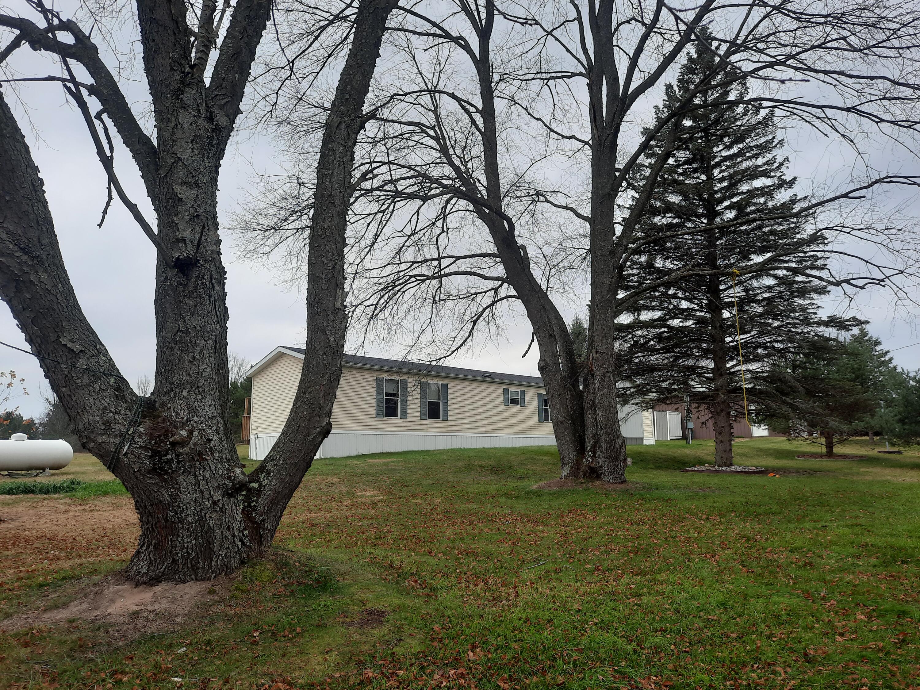 20875 Lowe Street Reed City, MI 49677 - Photo 4 of 22 20221104_114053
