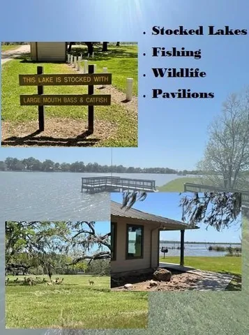 a view of swimming pool with a yard