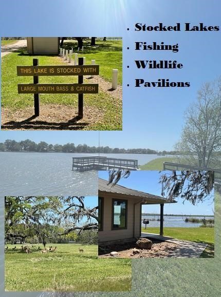 912 Wagon Wheel Trail Angleton, TX 77515 - Photo 7 of 11 a view of swimming pool with a yard