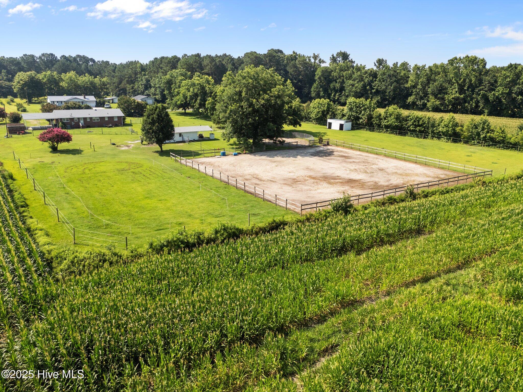 8880 Willard Road Willard, NC 28478 - Photo 64 of 66 54-web-or-mls-DJI_20250625102629_0504_D