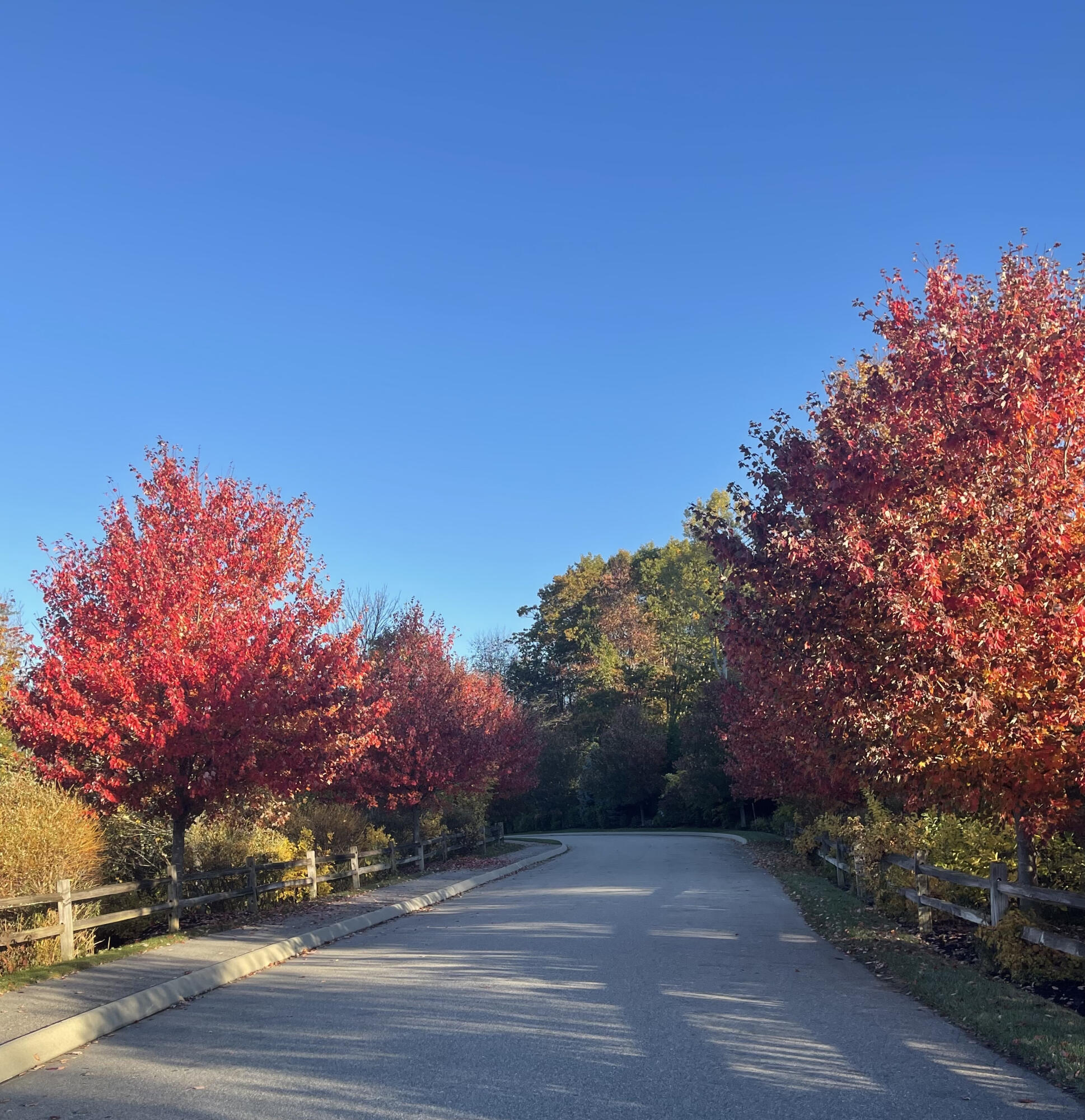 10 Commodores Way Kennebunk, ME 04043 - Photo 5 of 25 Fall Photo