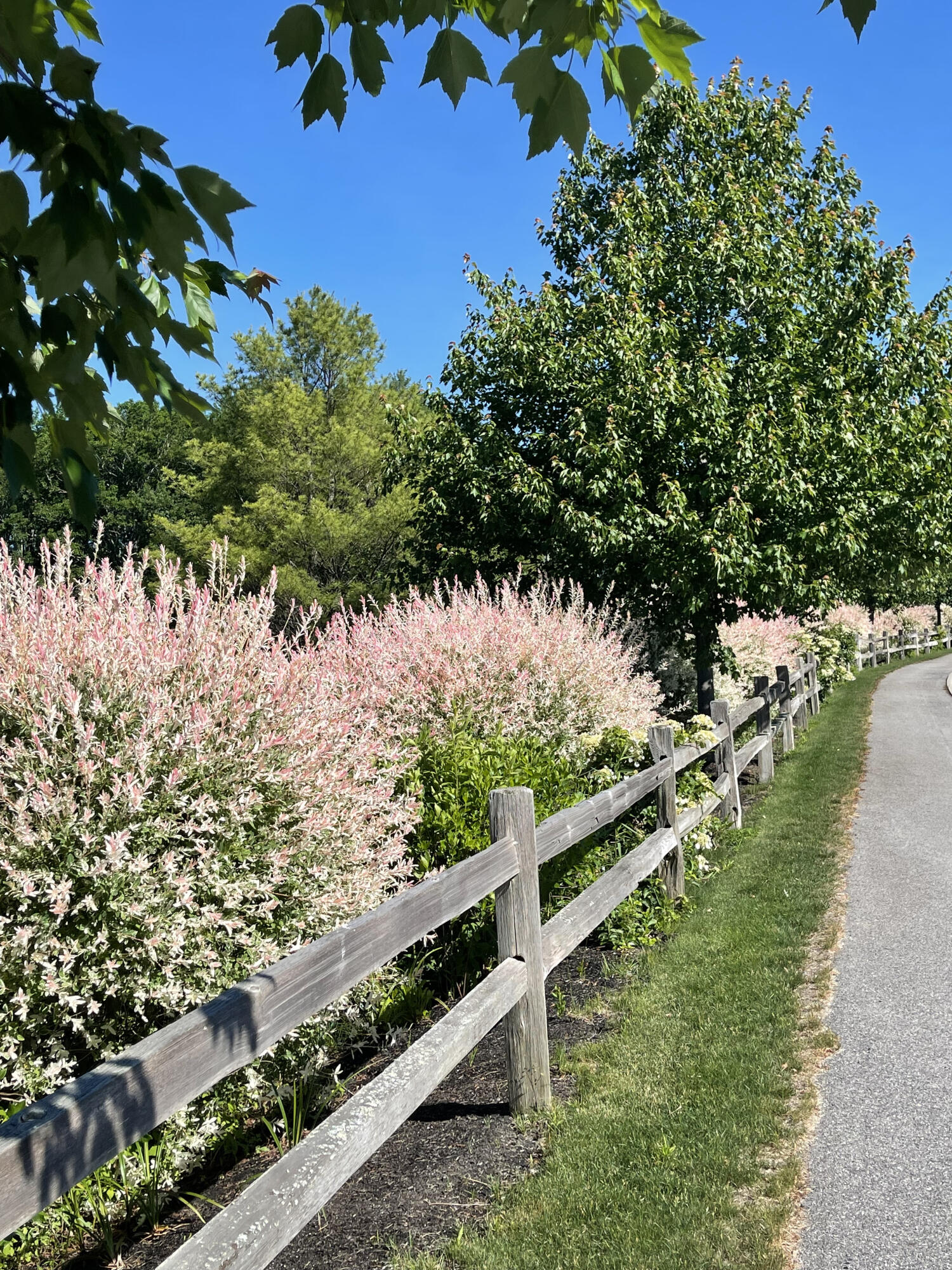 10 Commodores Way Kennebunk, ME 04043 - Photo 6 of 25 Spring Photo