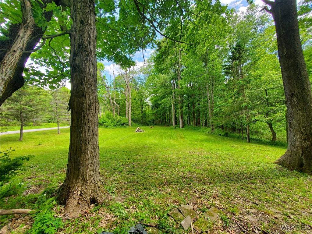 7200 Kent Road Little Valley, NY 14755 - Photo 39 of 43