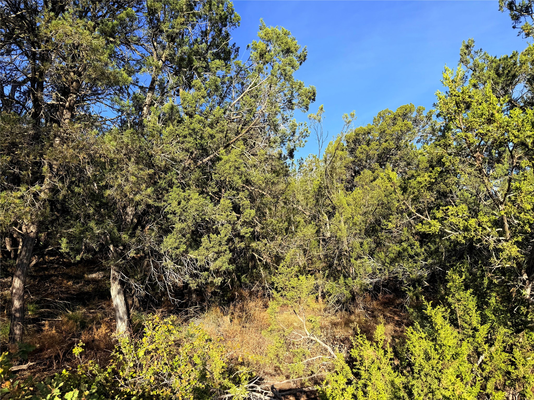 9 Peterson Road Edgewood, NM 87015 - Photo 4 of 9
