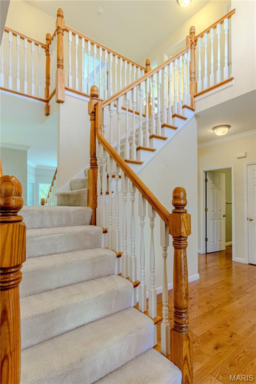 457 Avalon View Court Fenton, MO 63026 - Photo 19 of 55