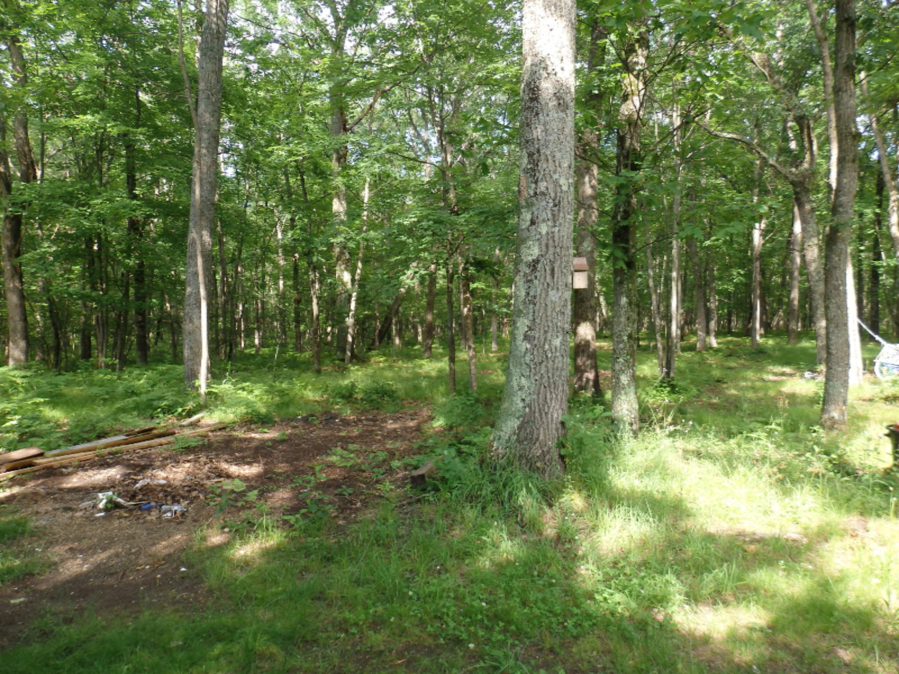 9058 North Irons Road Irons, MI 49644 - Photo 13 of 23 P7021637