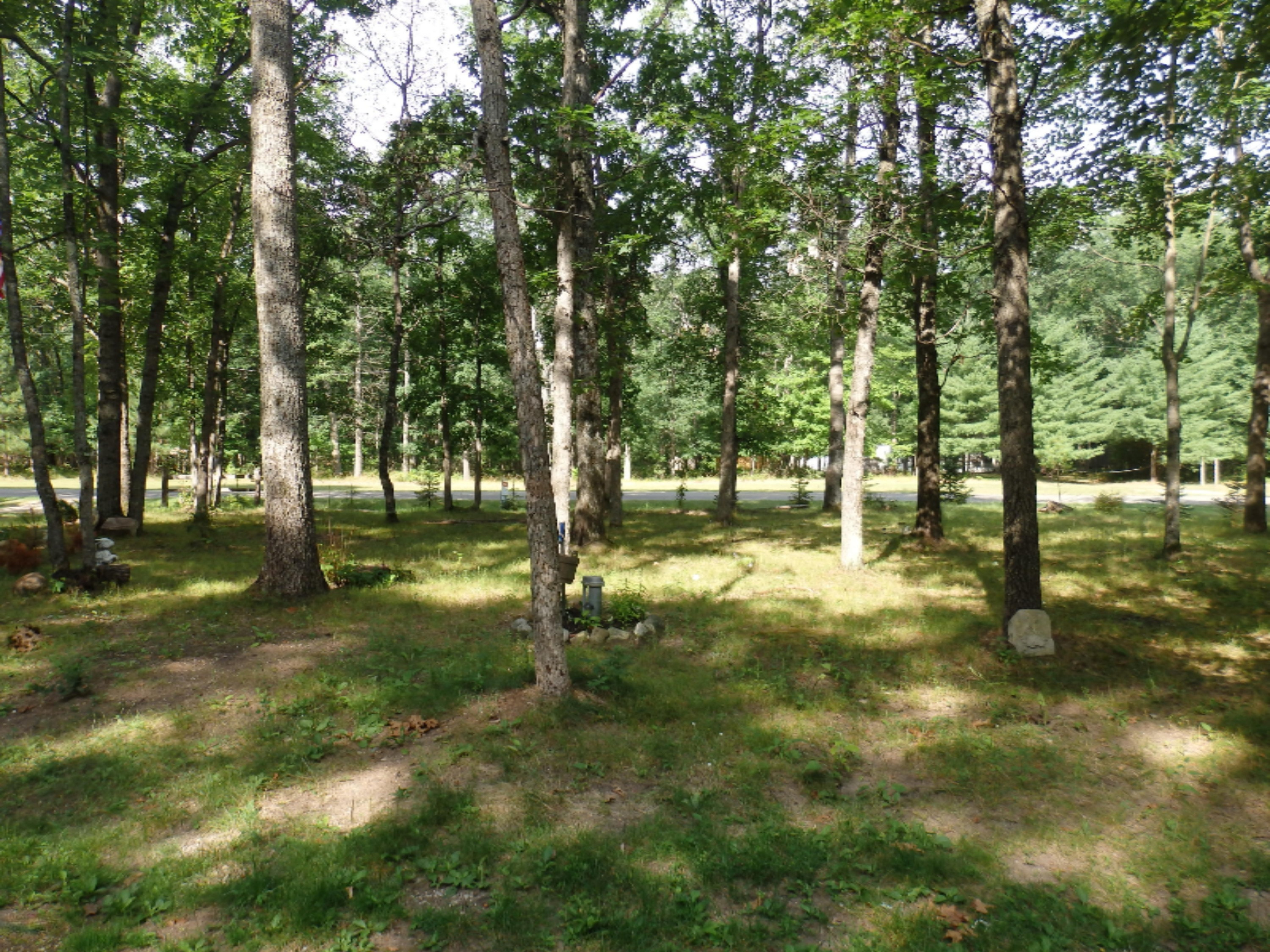 9058 North Irons Road Irons, MI 49644 - Photo 19 of 23 P8161752