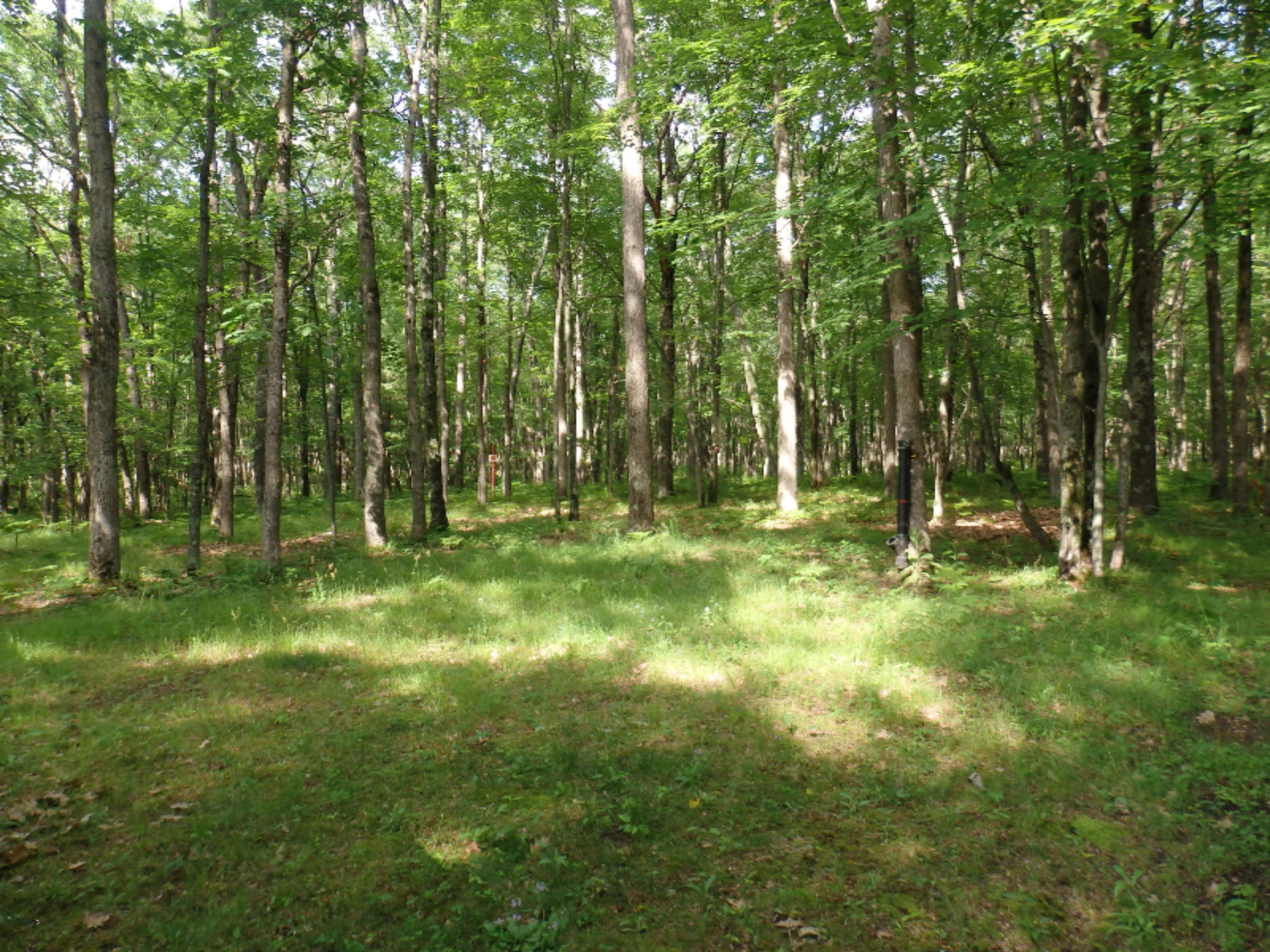 9058 North Irons Road Irons, MI 49644 - Photo 2 of 23 P7021641