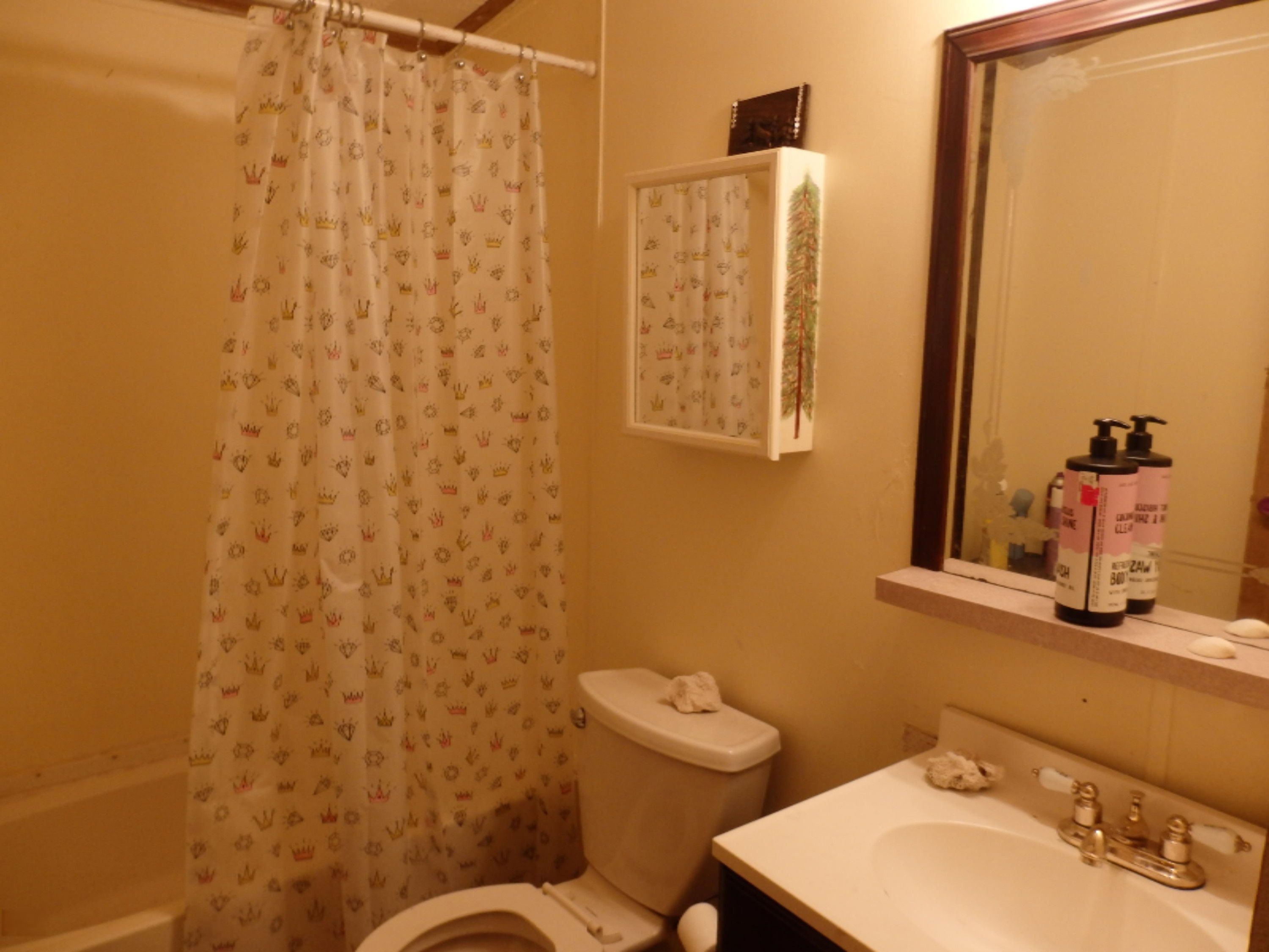 9058 North Irons Road Irons, MI 49644 - Photo 21 of 23 P8161759