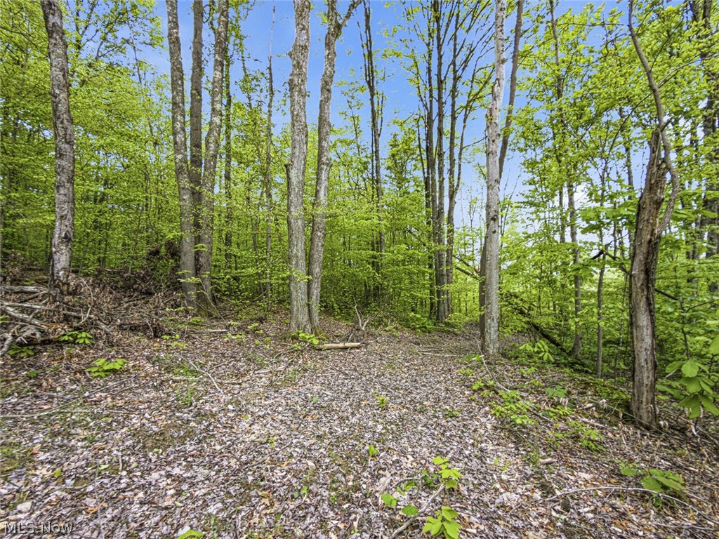 95-acres Newlon Road Malta, OH 43758 - Photo 12 of 18