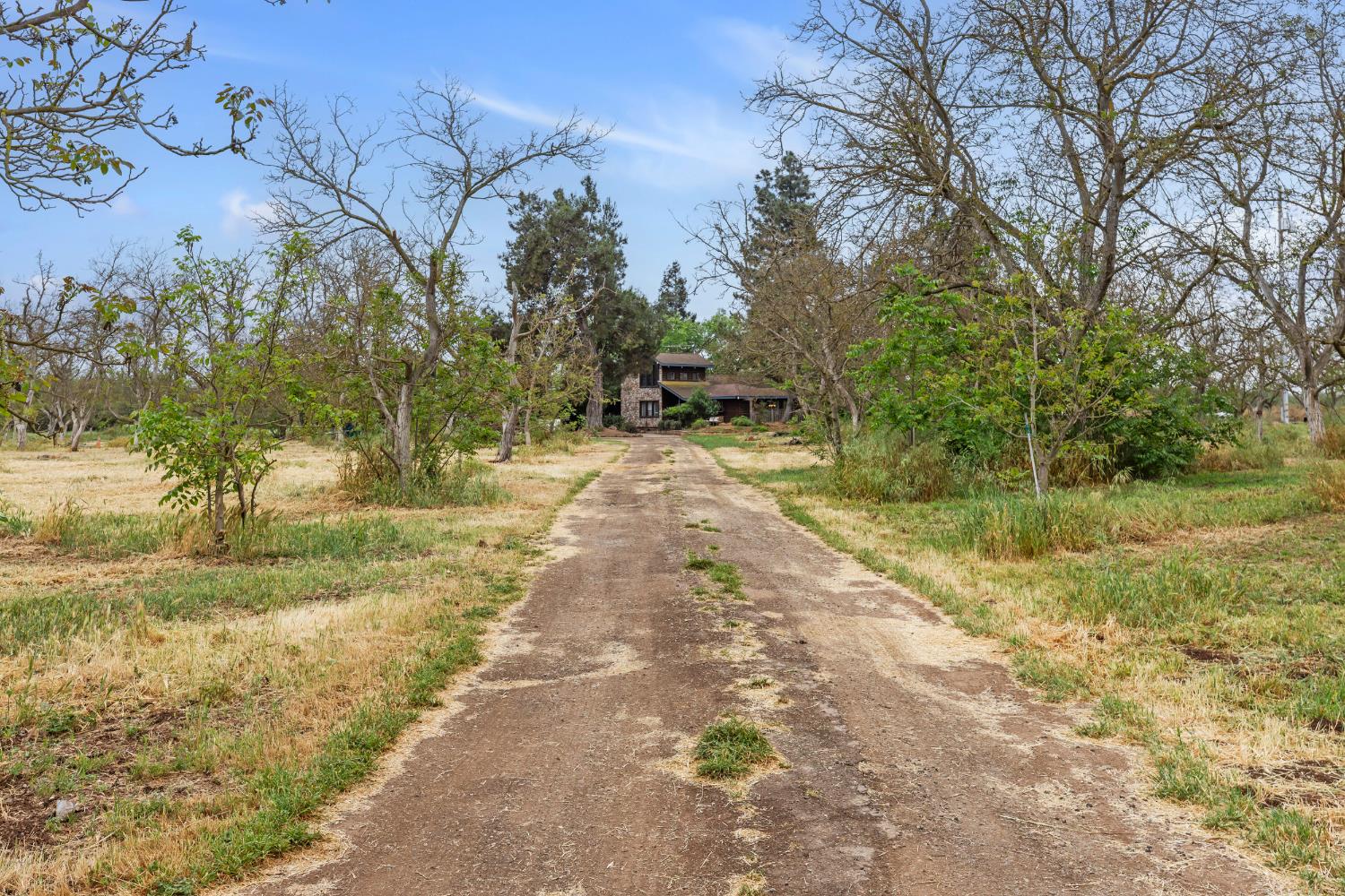 4607 Archerdale Road Linden, CA 95236 - Photo 26 of 50 a view of yard with trees