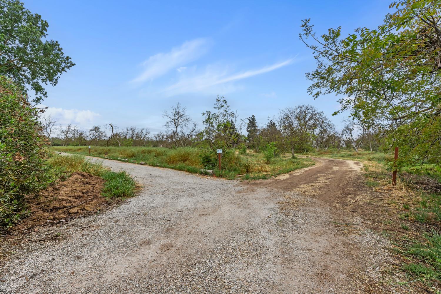 4607 Archerdale Road Linden, CA 95236 - Photo 27 of 50 a view of a big yard with plants and trees