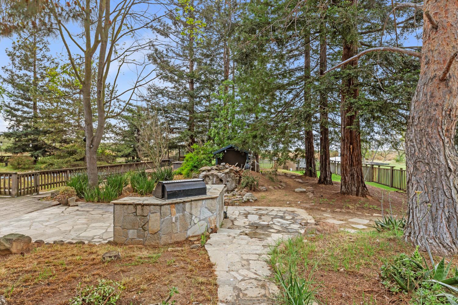 4607 Archerdale Road Linden, CA 95236 - Photo 31 of 50 a view of a yard with a tree