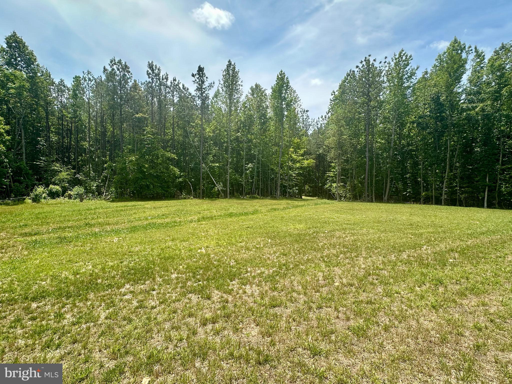 568 Reed Bridge Farm Road Bruington, VA 23023 - Photo 3 of 6