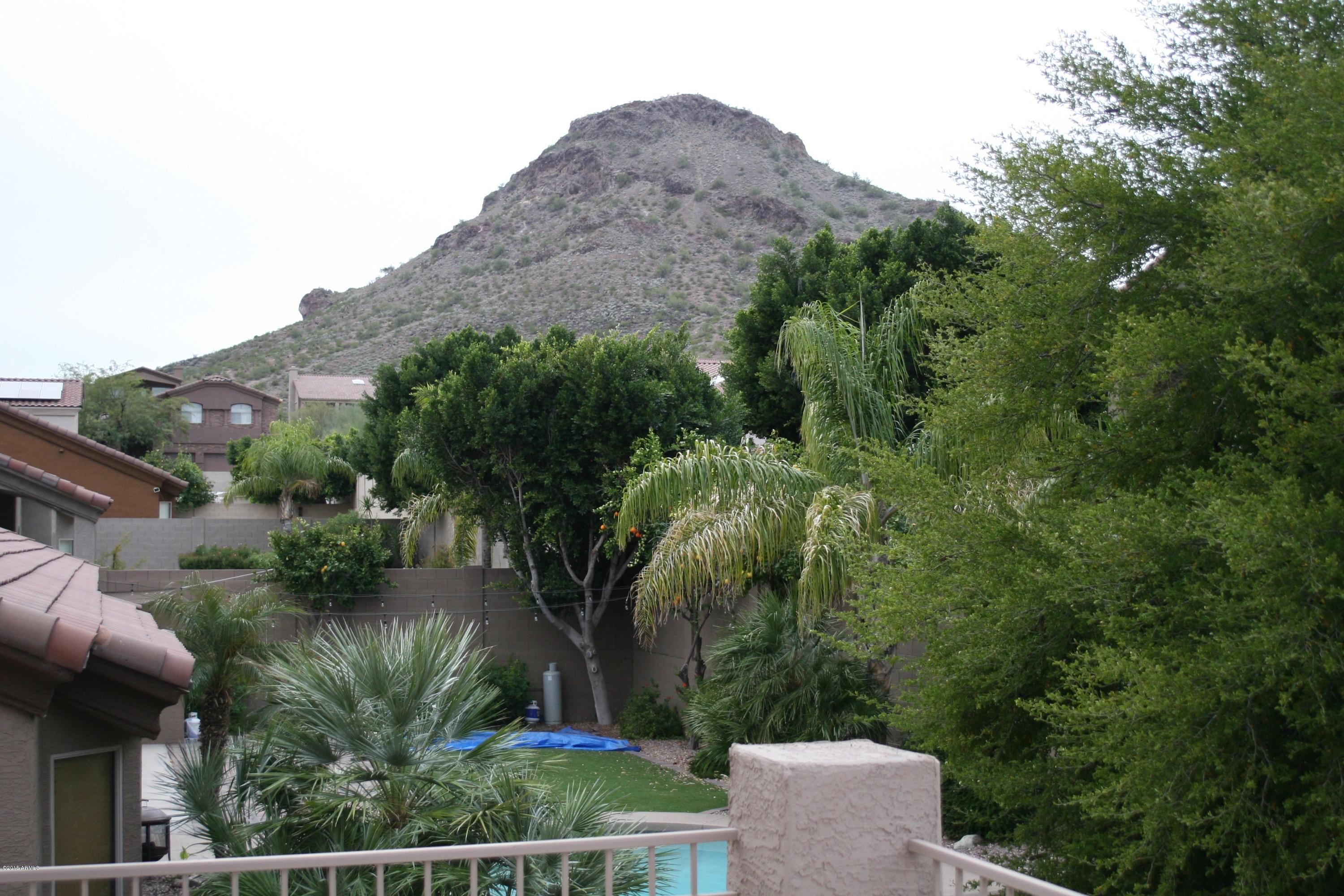 1932 East Marilyn Road Phoenix, AZ 85022 - Photo 8 of 34 View from upstairs deck