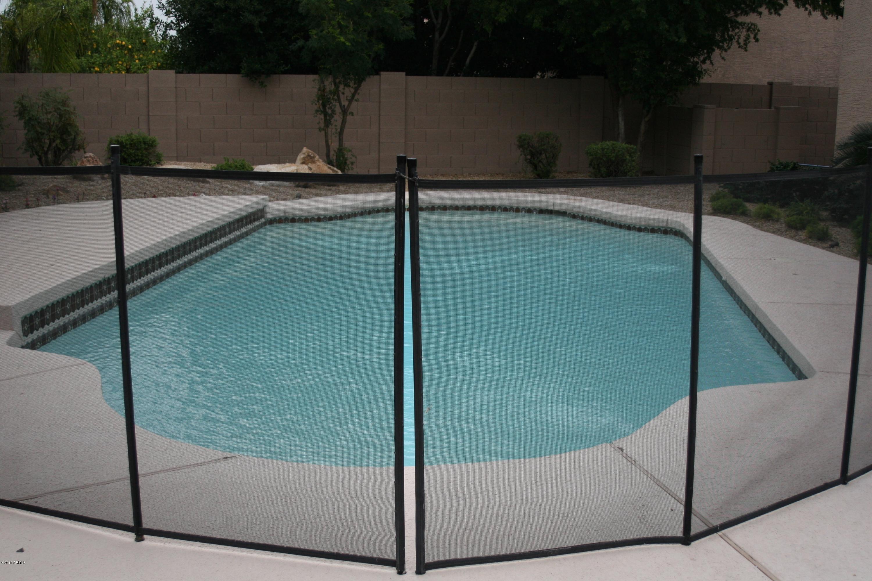 1932 East Marilyn Road Phoenix, AZ 85022 - Photo 9 of 34 Pool