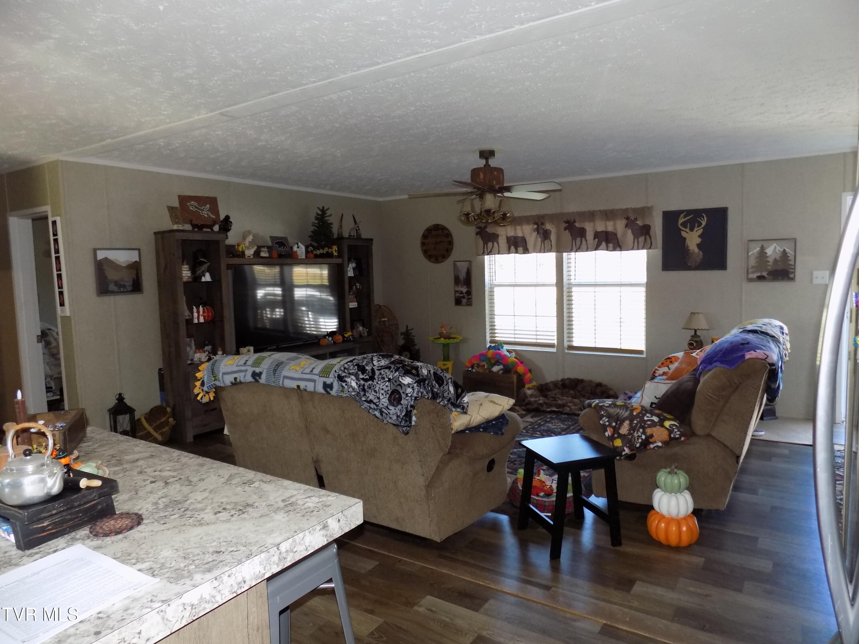 130 Ninny Ridge Road Whitesburg, TN 37891 - Photo 28 of 31 DSCN1548