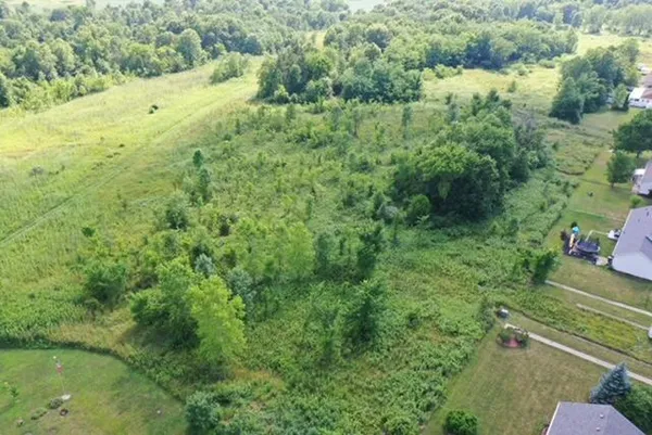 a view of a garden with a lake