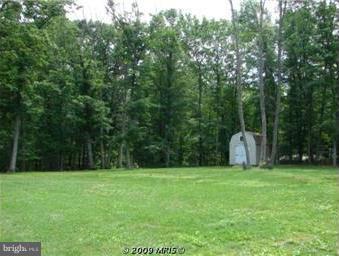 12649 Tower Hill Road Midland, VA 22728 - Photo 24 of 24 Backyard with shed