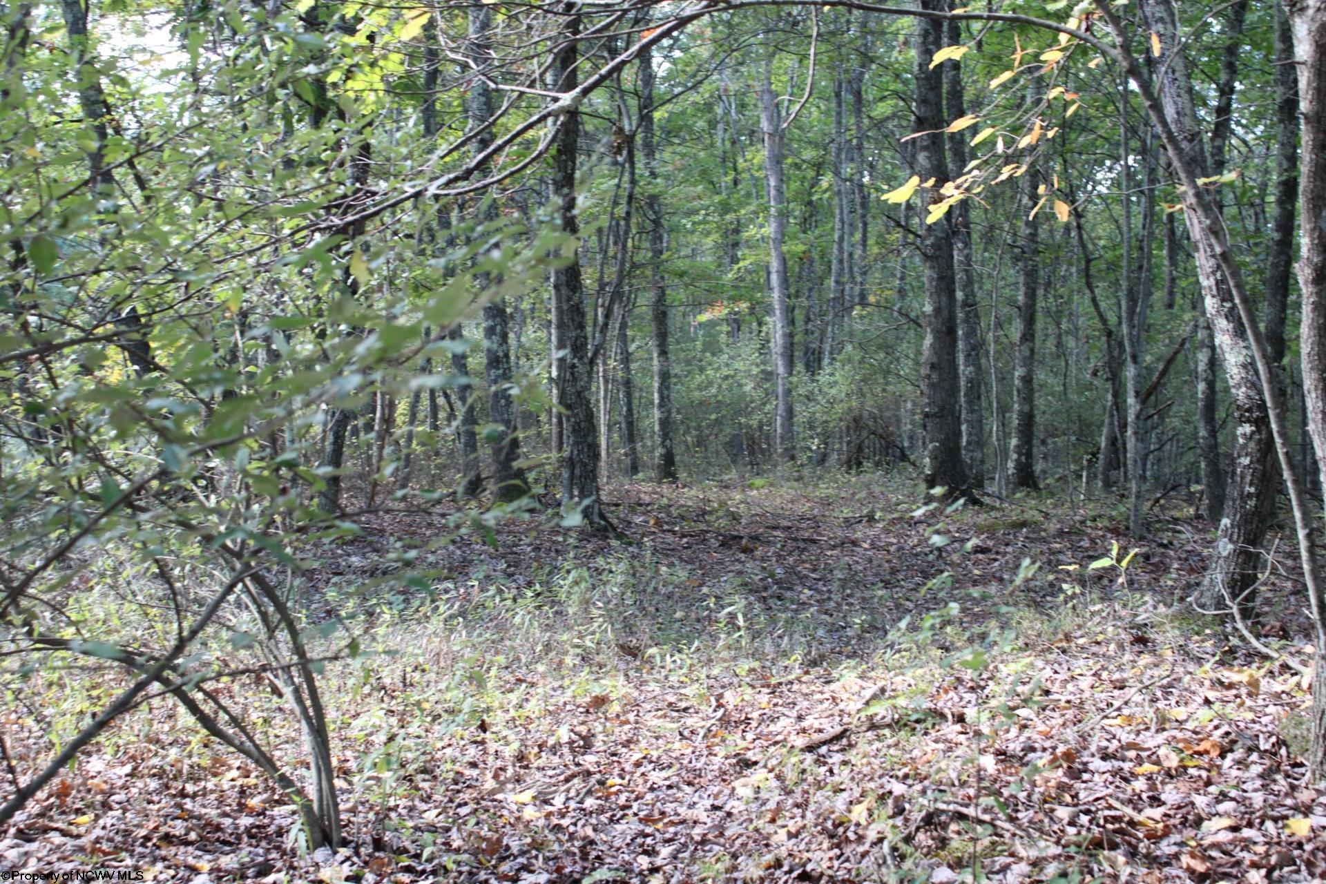 1430 Sand Bank Road Masontown, WV 26542 - Photo 10 of 29 Gallery Image 10