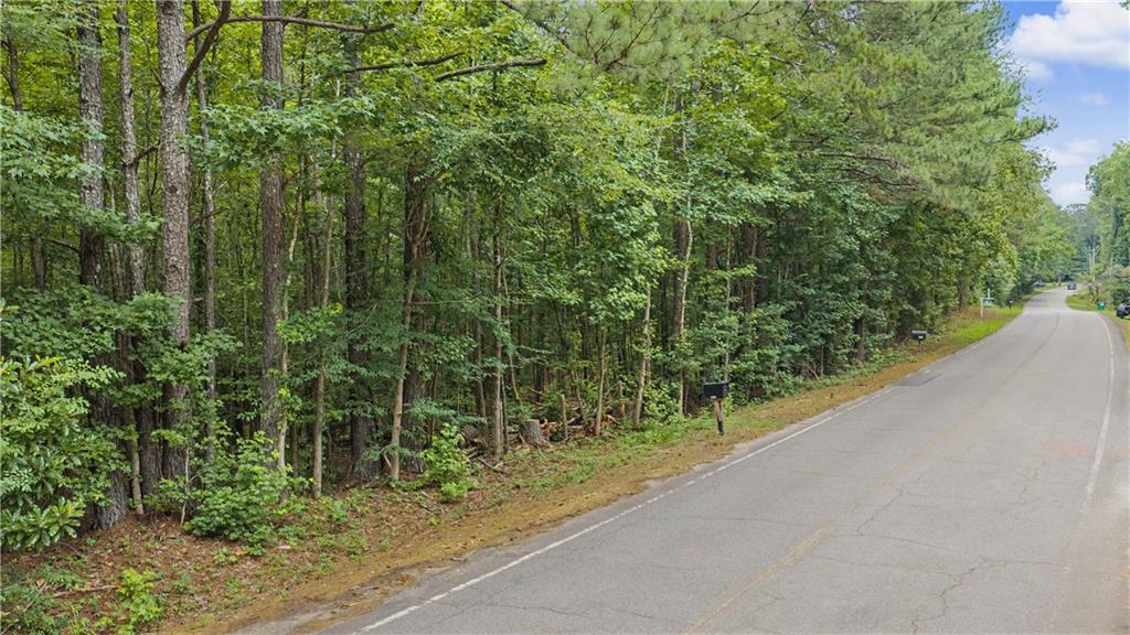 0 Cedar Grove Road Fairburn, GA 30213 - Photo 3 of 9