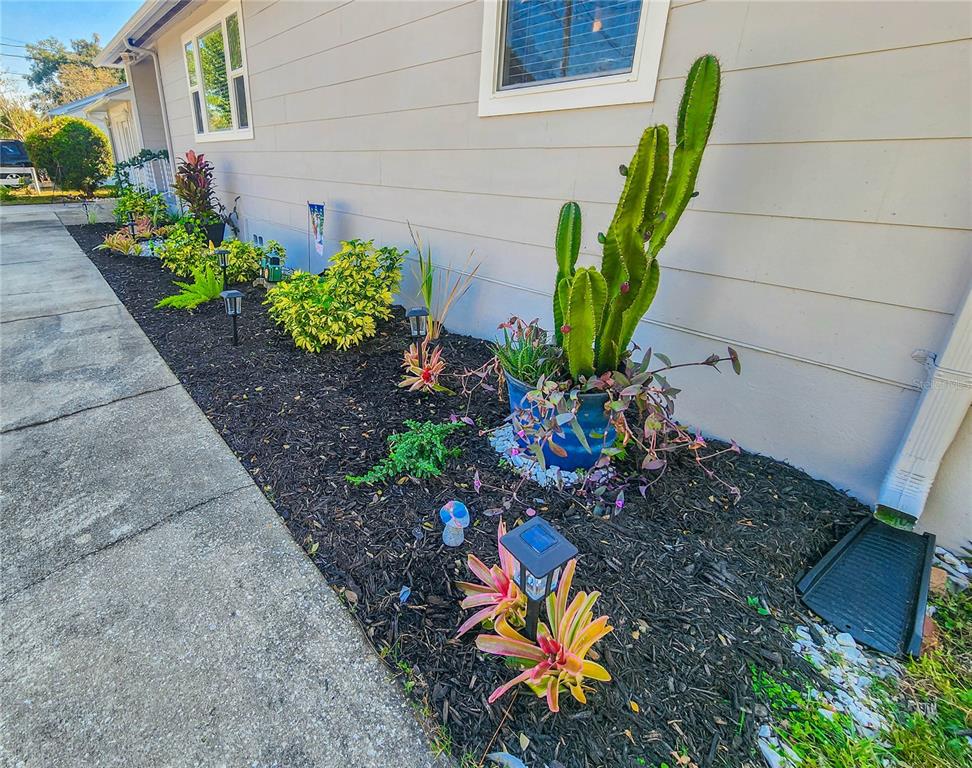 2207 Laurel Street Palatka, FL 32177 - Photo 50 of 56