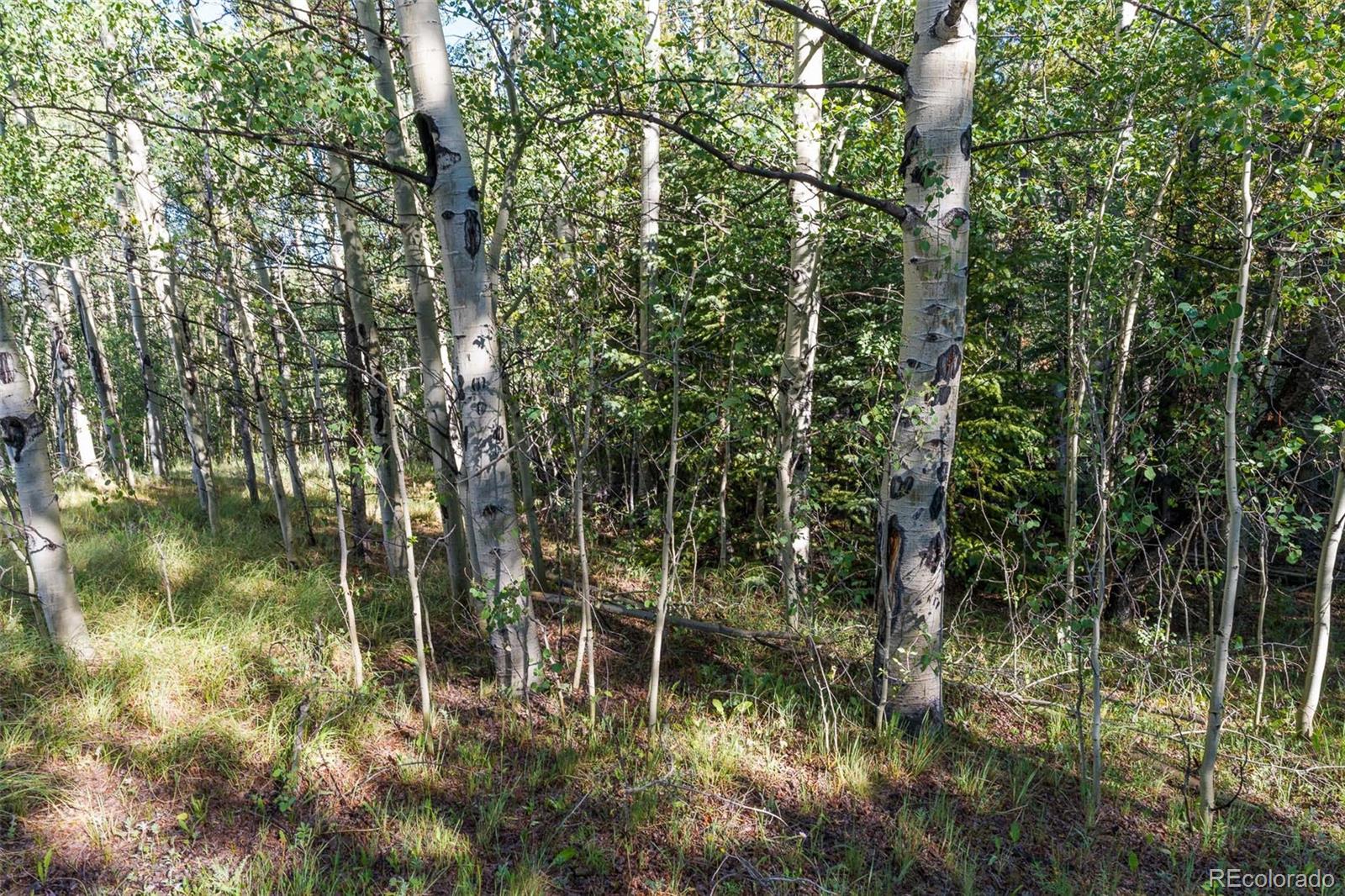 Lot 1 Snow Cap Peaks Road Fairplay, CO 80440 - Photo 6 of 20