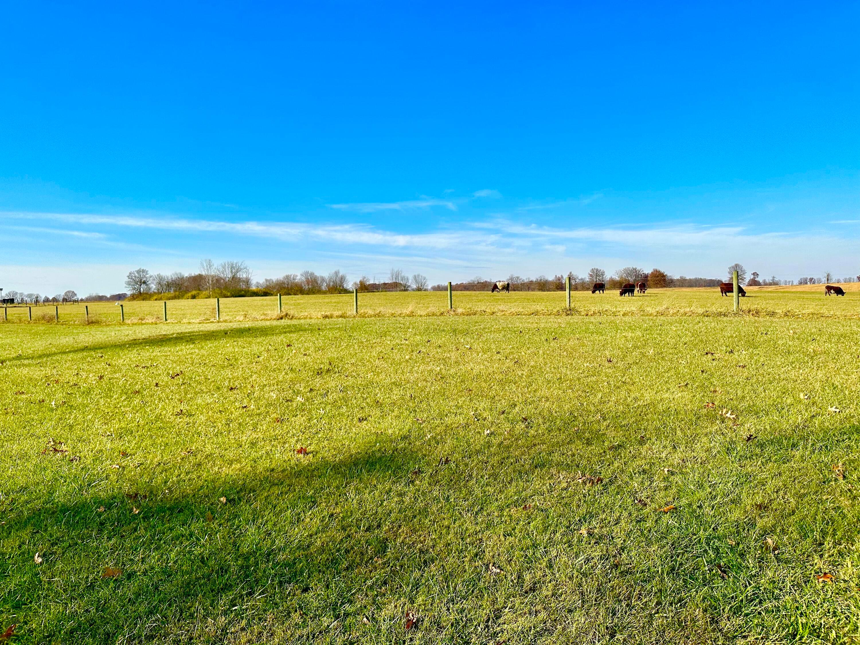 6189 Giehl Road Delaware, OH 43015 - Photo 51 of 70 Rear fence is visual property line.