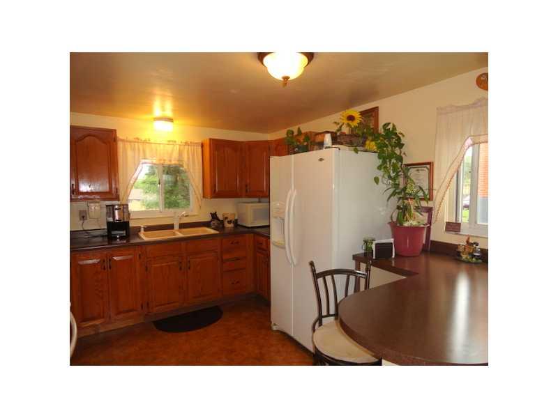 9952 Saltsburg Road Plum, PA 15239 - Photo 5 of 17 Kitchen. Two windows in the kitchen afford plenty of natural light