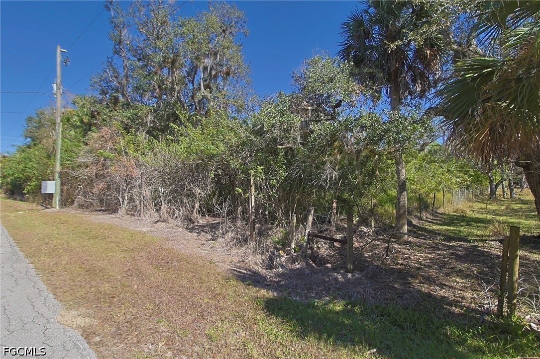 2975 Styles Road Alva, FL 33920 - Photo 1 of 5