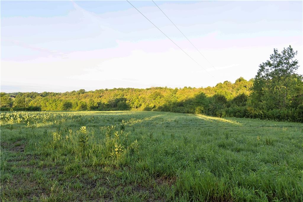 Murray Rd Road Polo, MO 64671 - Photo 9 of 53