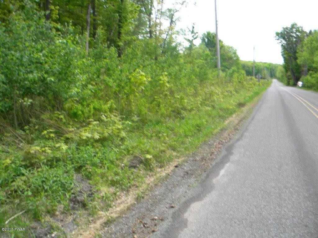 Silkman's Rd Lake Lake Ariel, PA 18436 - Photo 3 of 15