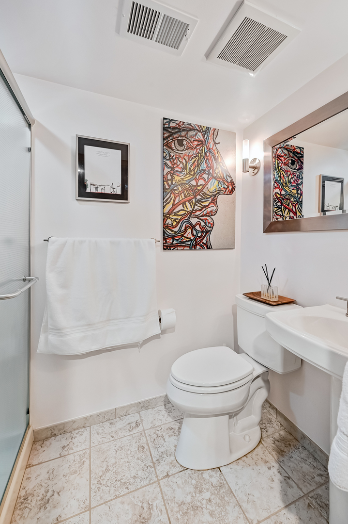 401 8th Place Hinsdale, IL 60521 - Photo 38 of 46 a bathroom with a toilet a sink and mirror