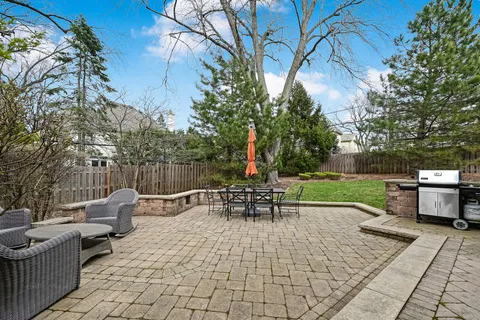 a view of a yard with plants and trees