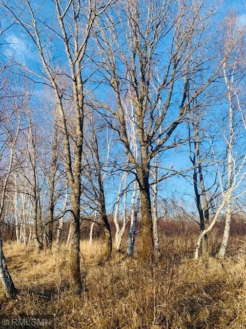 Xx Cross Park Road Brook Park, MN 55007 - Photo 1 of 1 Gallery Image 1