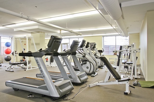 1717 South Prairie Avenue, Unit 1806 Chicago, IL 60616 - Photo 12 of 13 a view of a room with gym equipment