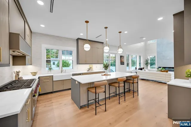 a living room with furniture a fireplace and a potted plant