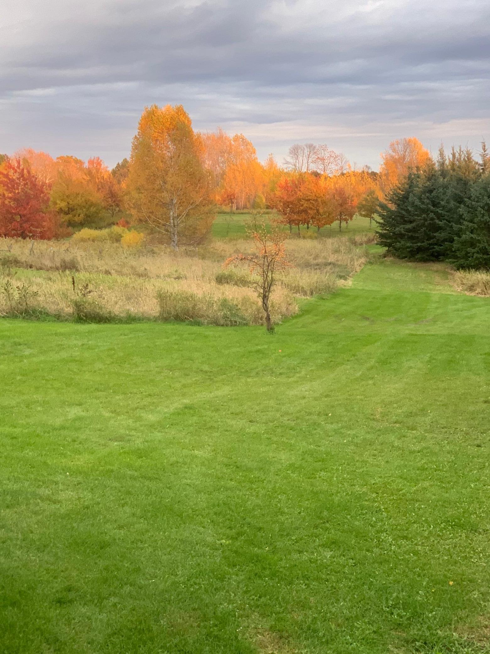4964 Tower Road Moose Lake, MN 55767 - Photo 43 of 56 Gallery Image 43