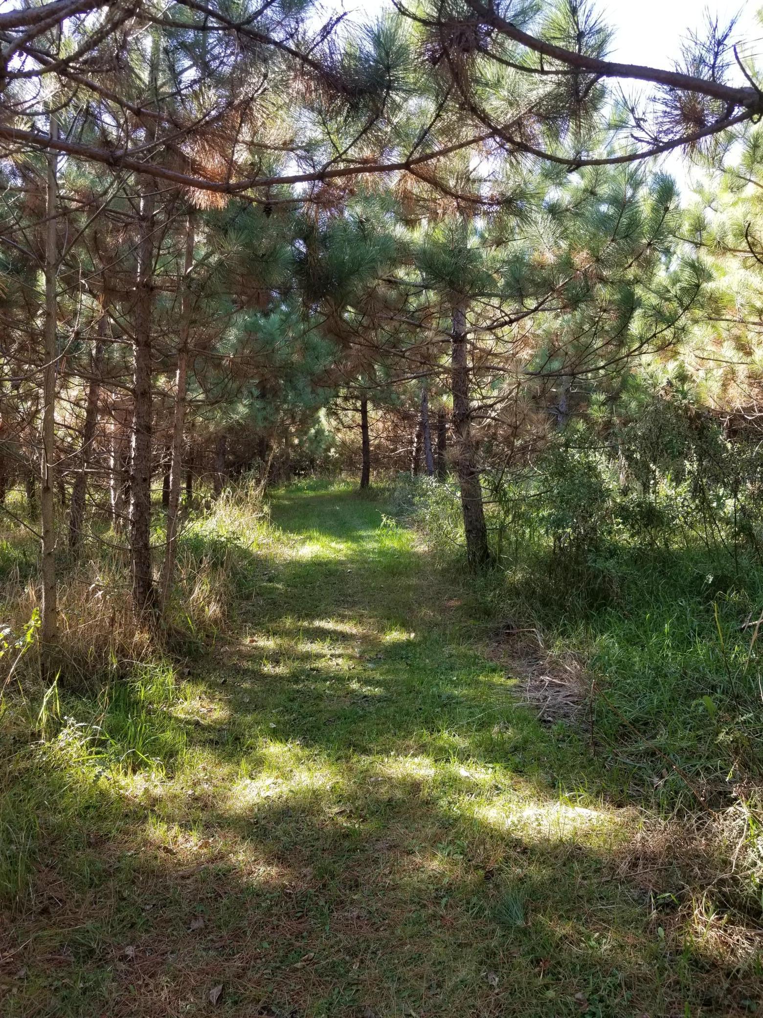 4964 Tower Road Moose Lake, MN 55767 - Photo 46 of 56 Gallery Image 46