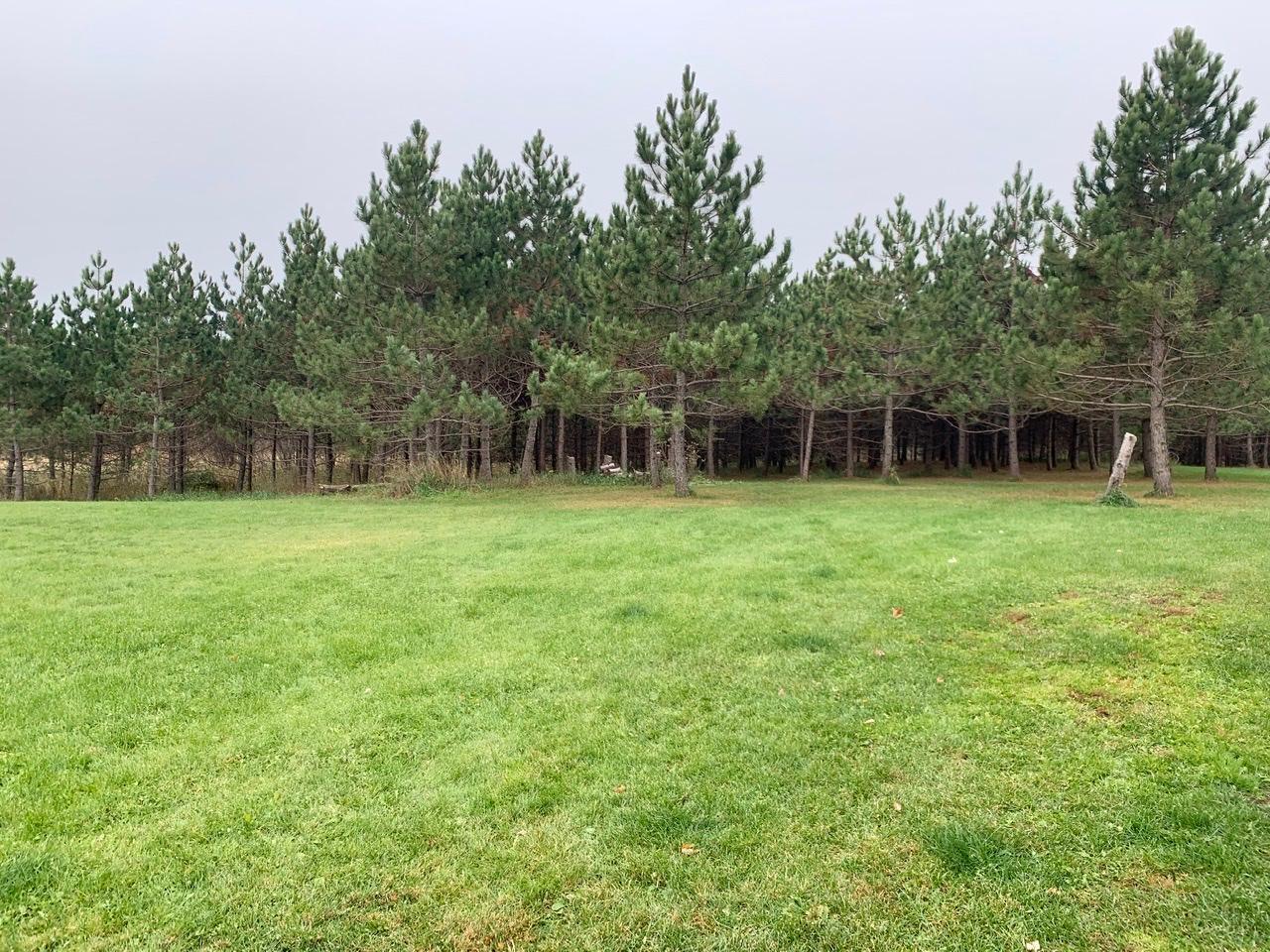 4964 Tower Road Moose Lake, MN 55767 - Photo 48 of 56 Gallery Image 48