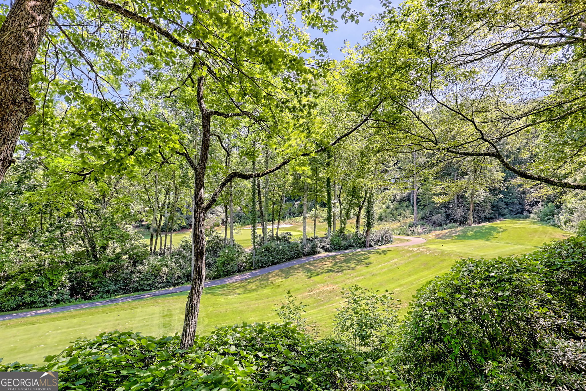850 Ridgepole Drive Sky Valley, GA 30537 - Photo 29 of 73 a view of a backyard with swimming pool