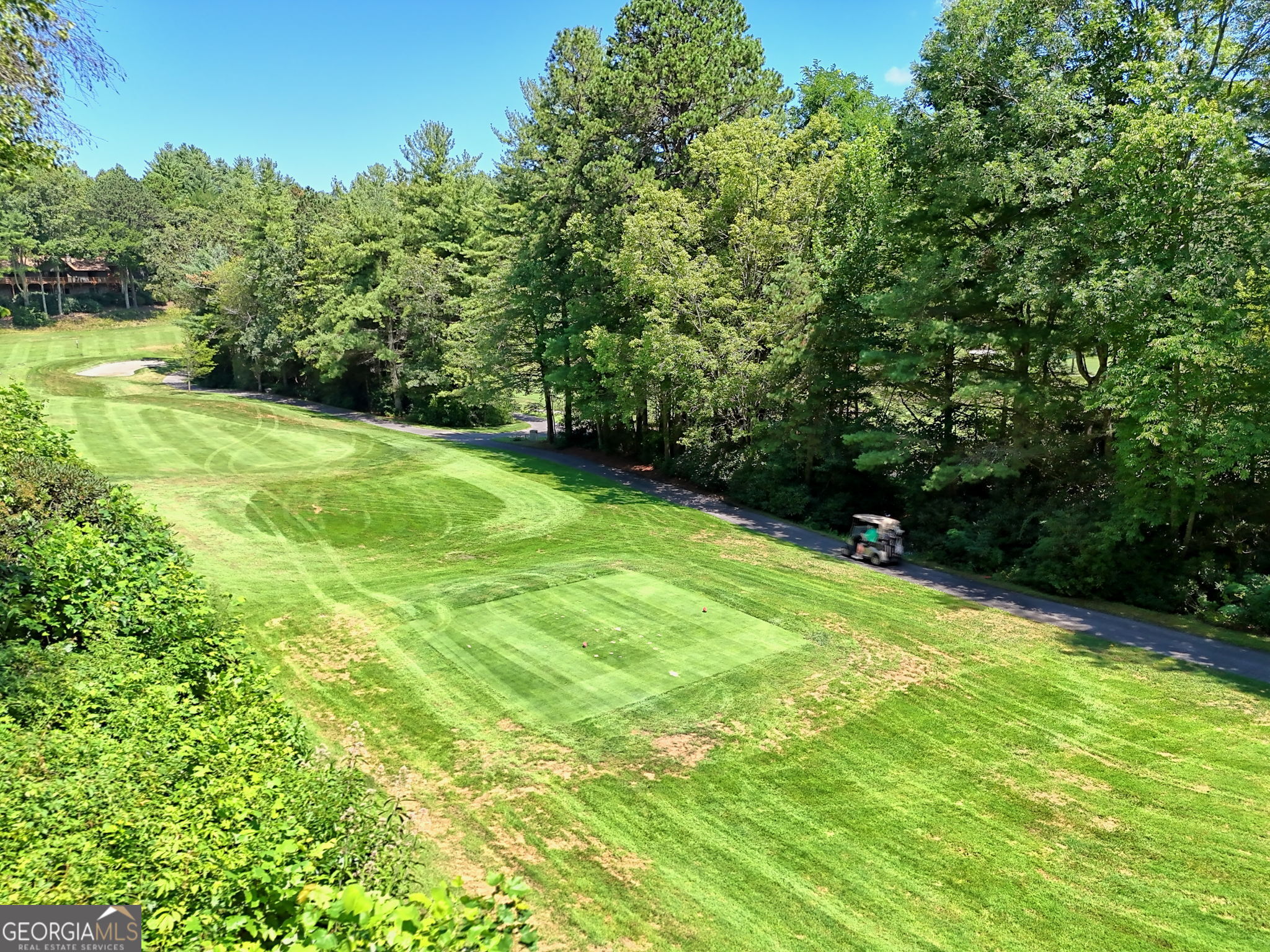 850 Ridgepole Drive Sky Valley, GA 30537 - Photo 62 of 73 a view of a field of grass and trees