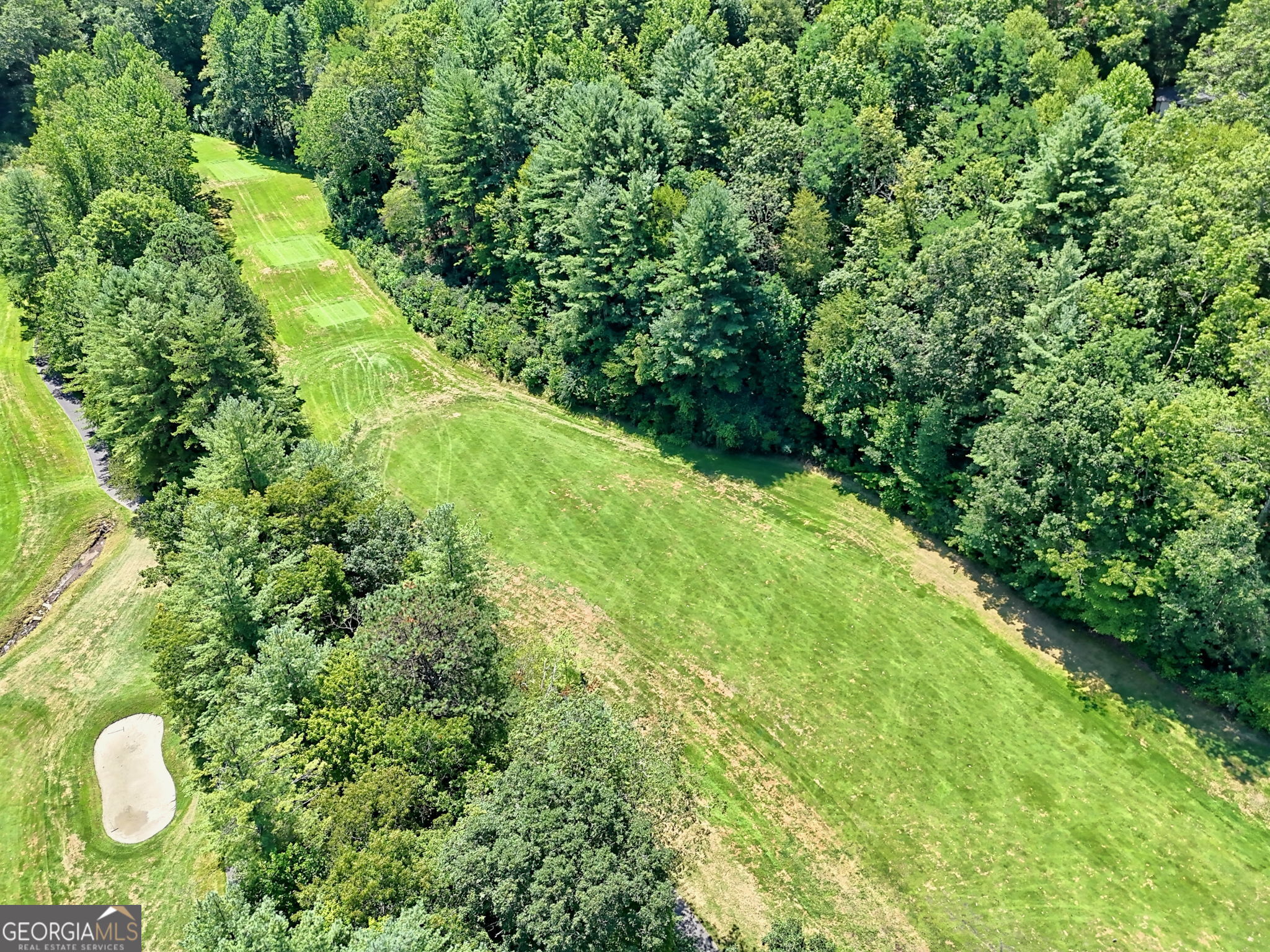 850 Ridgepole Drive Sky Valley, GA 30537 - Photo 63 of 73 a view of a garden