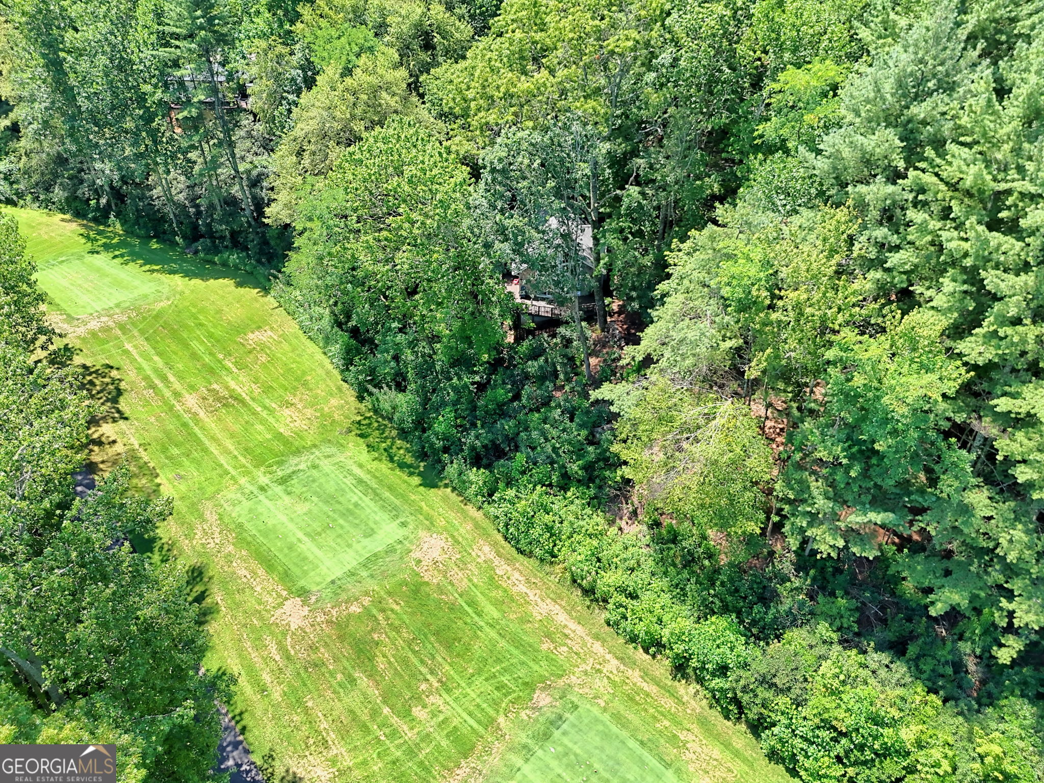 850 Ridgepole Drive Sky Valley, GA 30537 - Photo 64 of 73 a view of a yard with plants and large trees