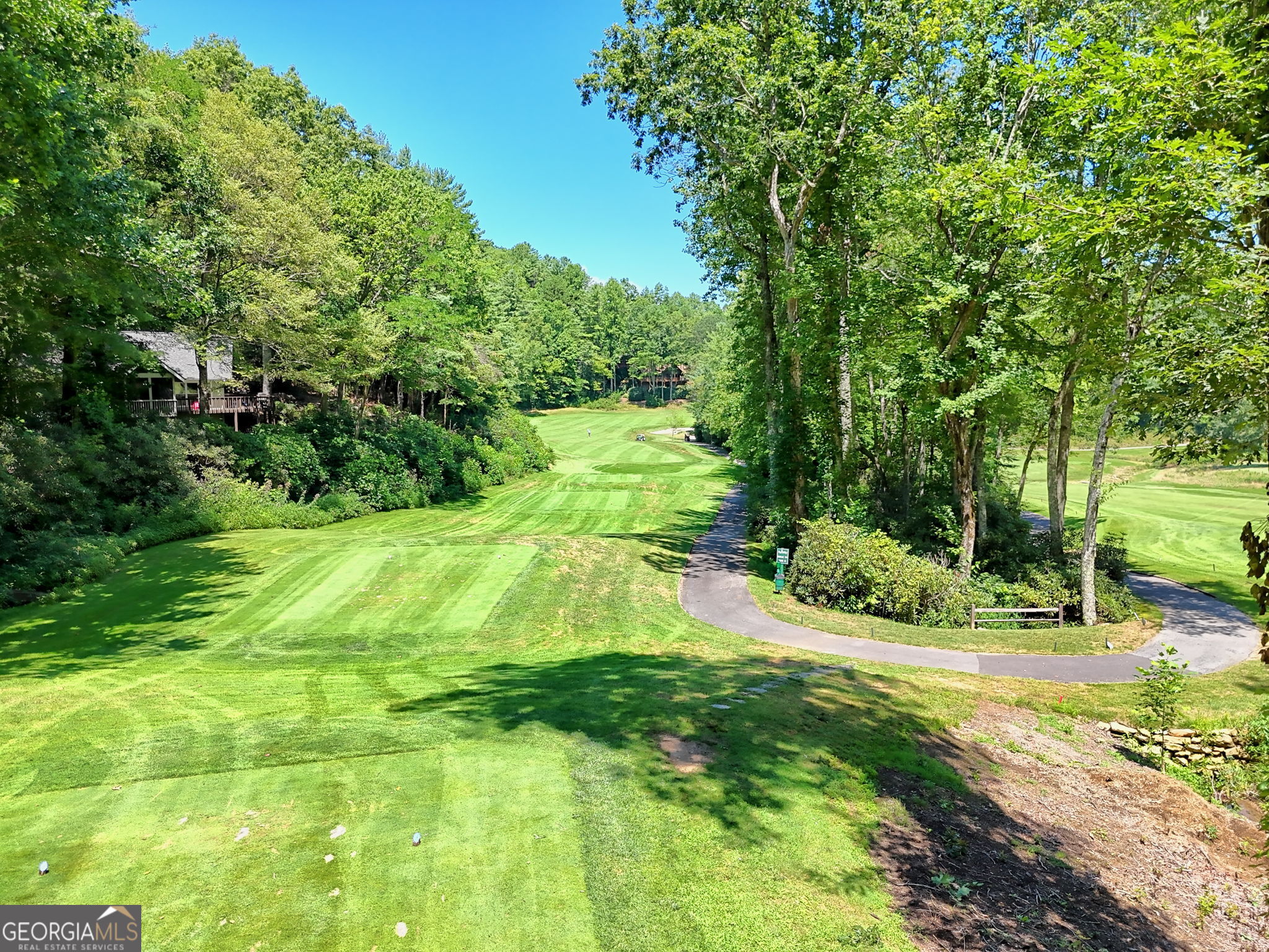 850 Ridgepole Drive Sky Valley, GA 30537 - Photo 65 of 73 a view of yard with green space
