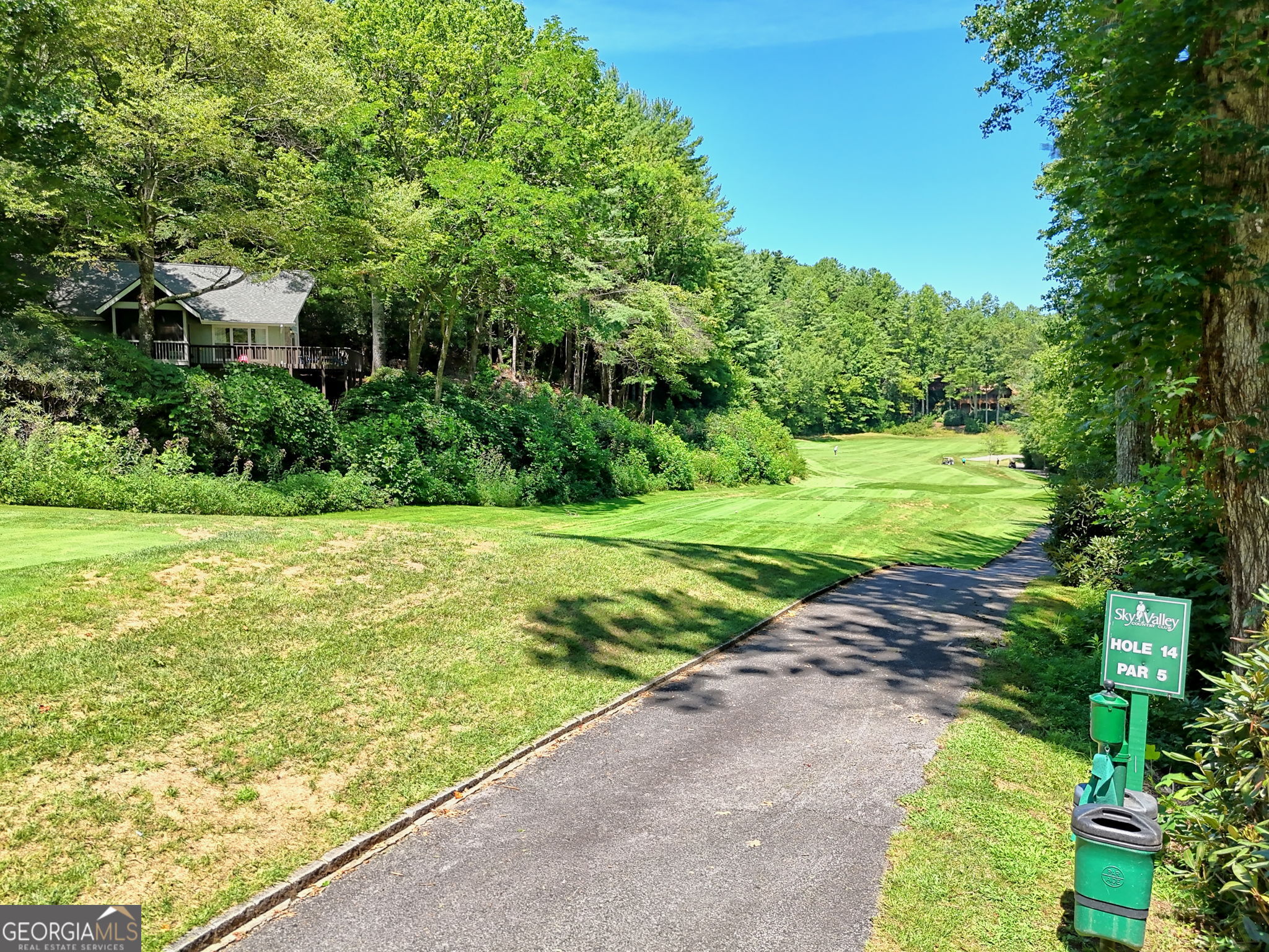 850 Ridgepole Drive Sky Valley, GA 30537 - Photo 66 of 73 a view of a yard with plants and large trees
