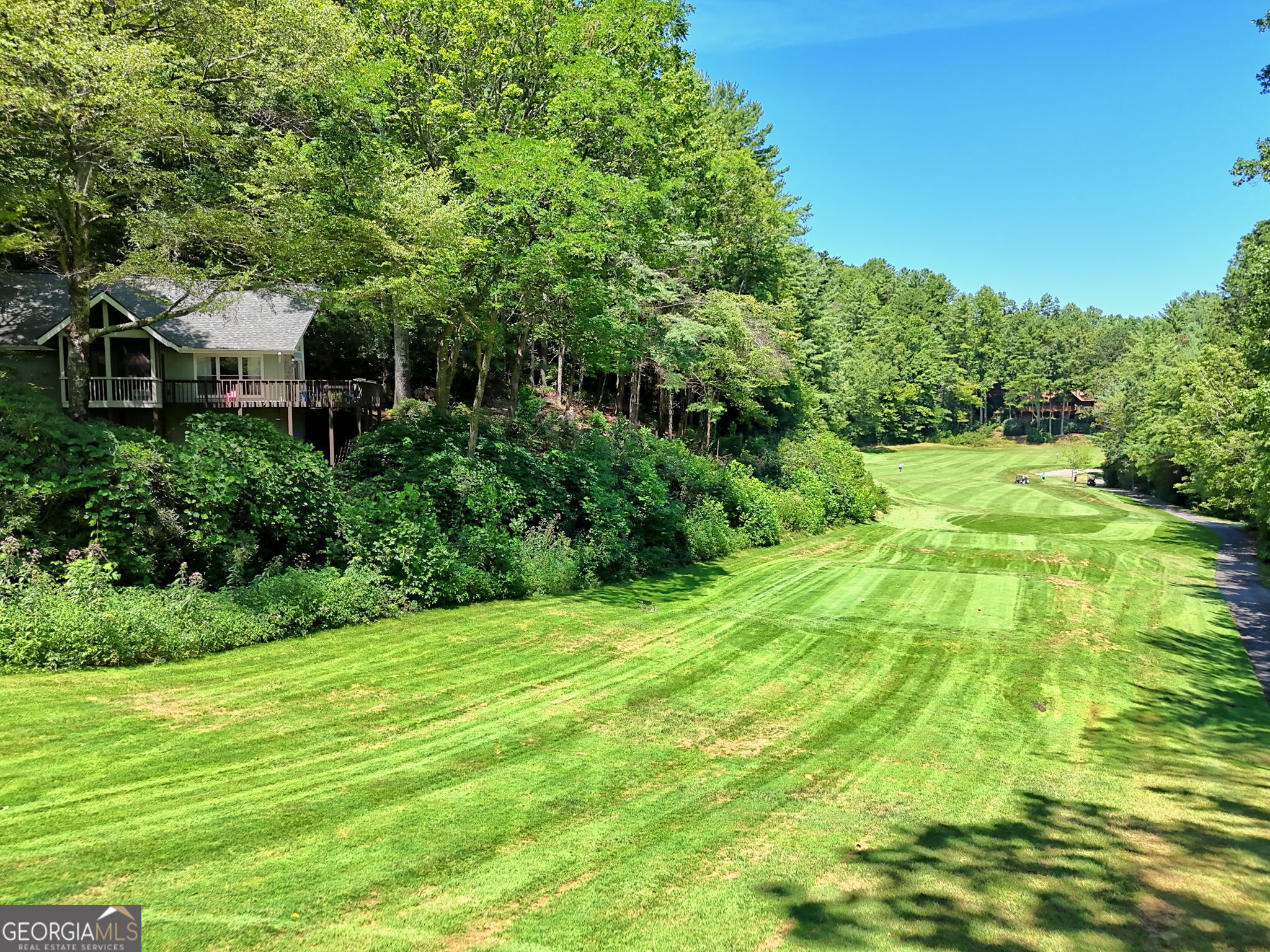 850 Ridgepole Drive Sky Valley, GA 30537 - Photo 67 of 73 a backyard of a house with plants and large trees