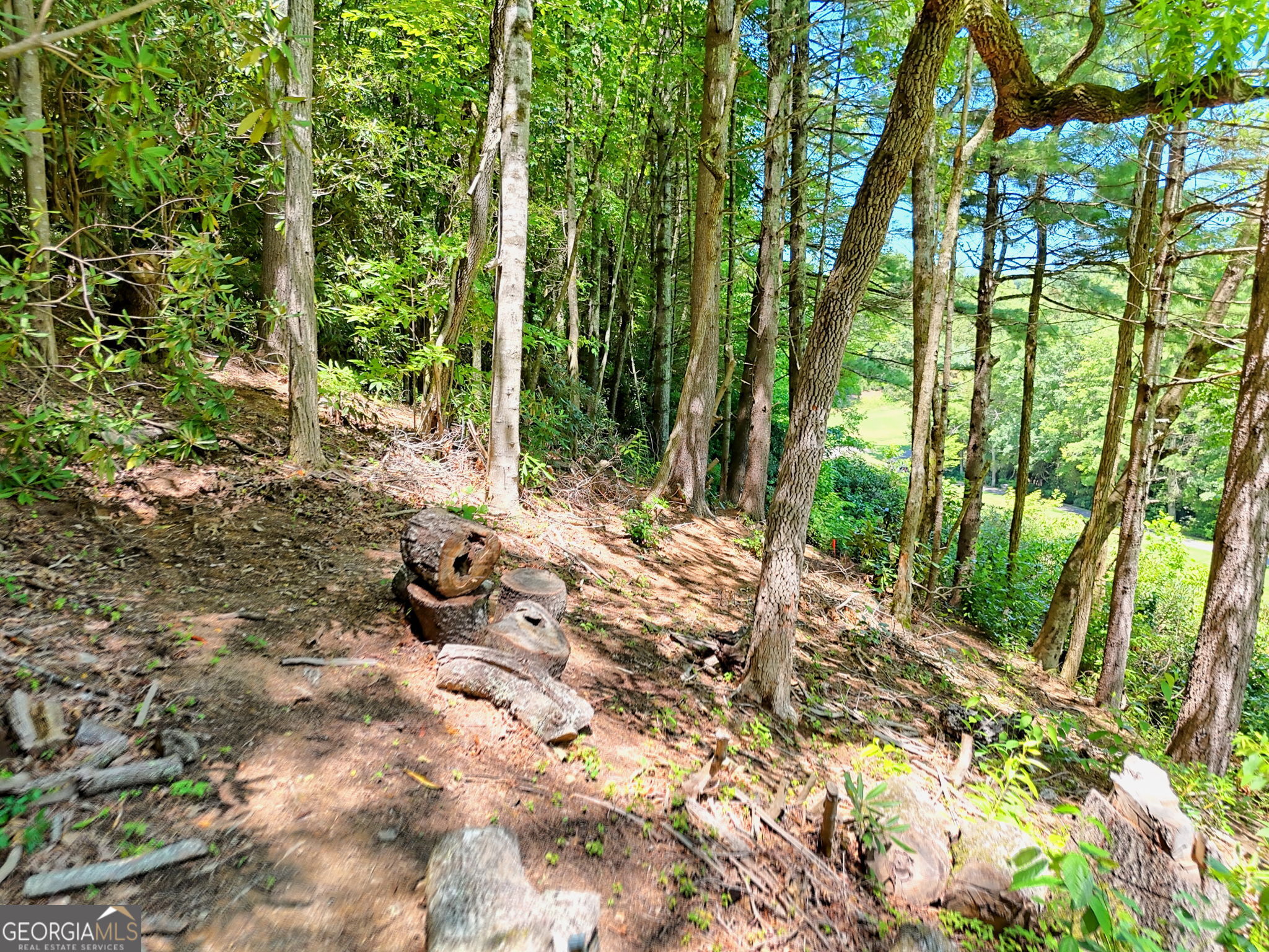 850 Ridgepole Drive Sky Valley, GA 30537 - Photo 70 of 73 a wooden bench with lots of trees